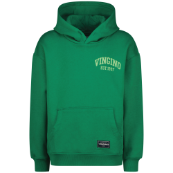 Vingino Icon-hoody Green tambourine
