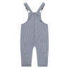 Babyface baby boys dungaree Night