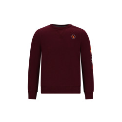 TYGO&vito Sweater Sven Maroon