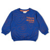Sturdy Sweater AOP - Chasing Trails Blauw