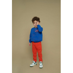 Sturdy Sweater AOP - Chasing Trails Blauw