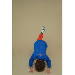 Sturdy Sweater AOP - Chasing Trails Blauw