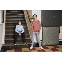 Indian Blue Jeans Loose Fit Sweat Chest Print Brown