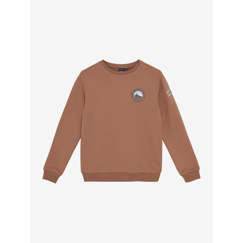 Indian Blue Jeans Loose Fit Sweat Chest Print Brown