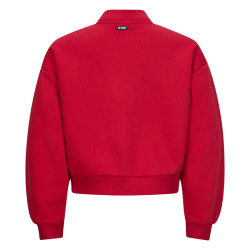 Retour Vay merlot red