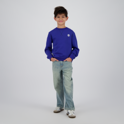 Raizzed Hanoi Light Blue Stone