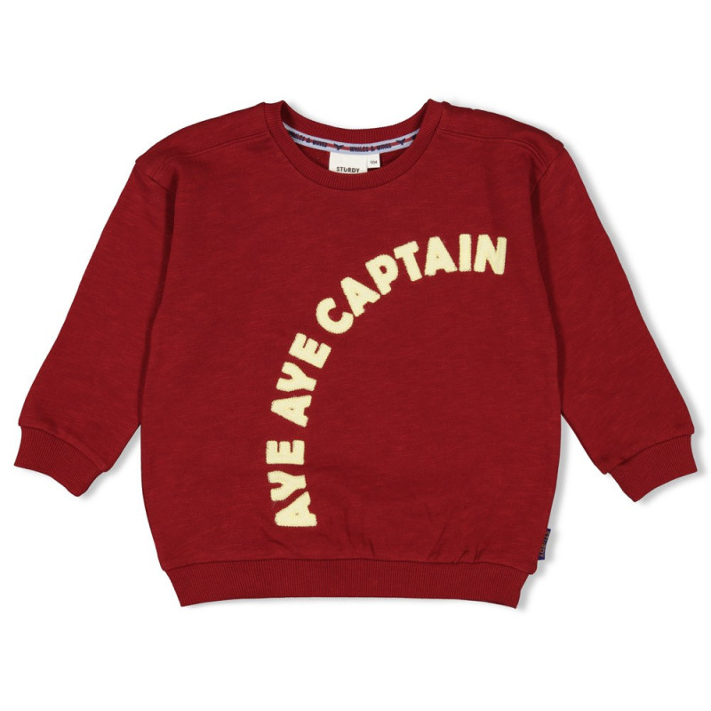 Sturdy Sweater - Waves and Whales Bordeaux