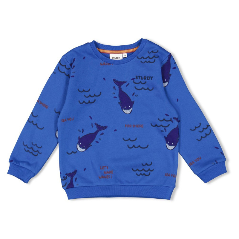 Sturdy Sweater AOP - Waves and Whales Aqua