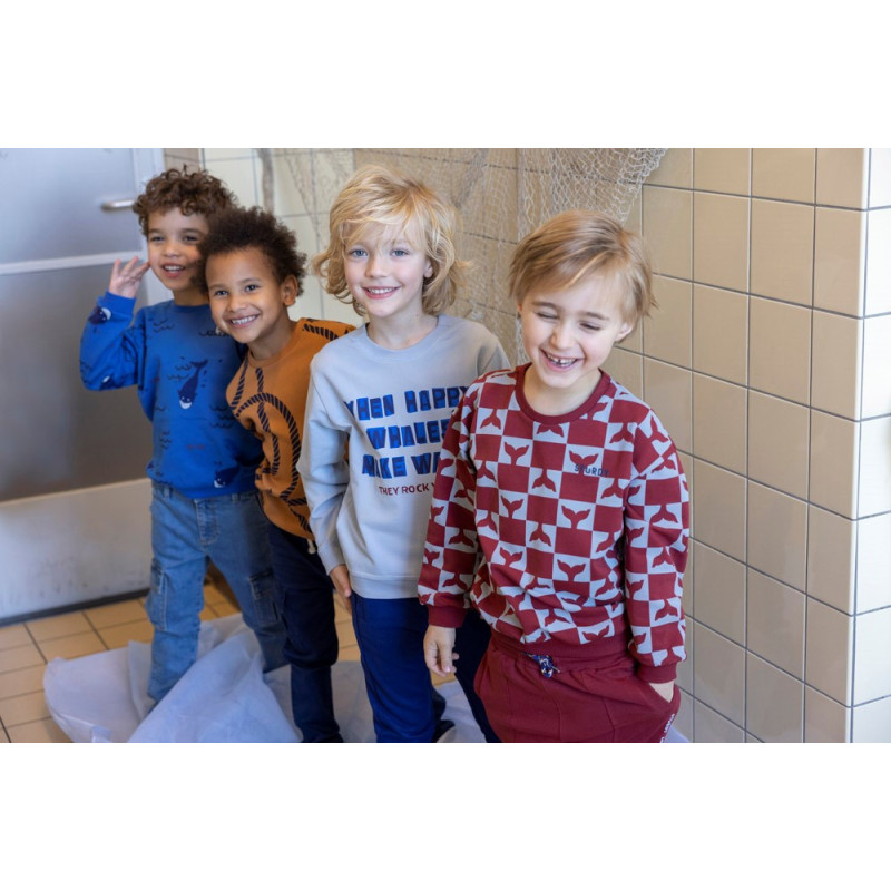 Sturdy Sweater - Waves and Whales Blauw