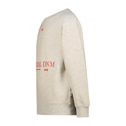 Raizzed Nofficial Kit melange