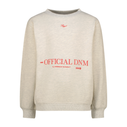 Raizzed Nofficial Kit melange