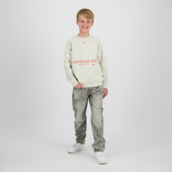 Raizzed Nofficial Kit melange