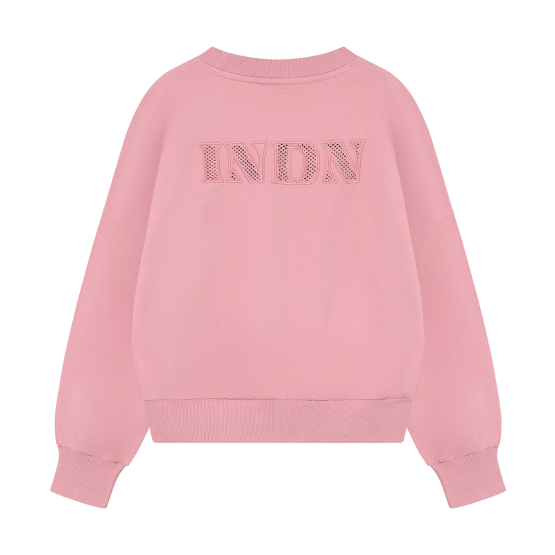 Indian Blue Jeans Sweater Back Mesh Purple