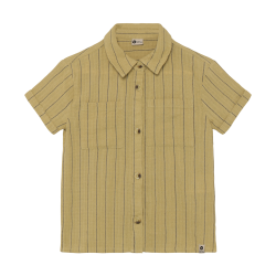 Daily Seven Shirt Small Stripe Pale Olive Green