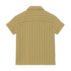 Daily Seven Shirt Small Stripe Pale Olive Green