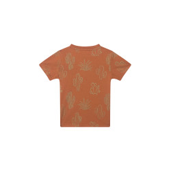 Someone FELIX-SB-02-B TERRA