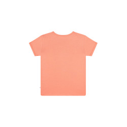 Someone LOU-SG-02-B CORAL