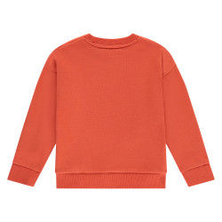 Stains and Stories boys sweatshirt Grapefruit