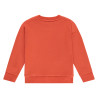 Stains and Stories boys sweatshirt Grapefruit