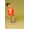 Stains and Stories boys sweatshirt Grapefruit