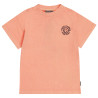 Tumble 'N Dry Coral Bay fresh salmon