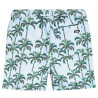 Tumble 'N Dry Melanesia bonnie blue