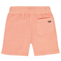 Tumble 'N Dry Big Wave fresh salmon