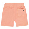 Tumble 'N Dry Big Wave fresh salmon