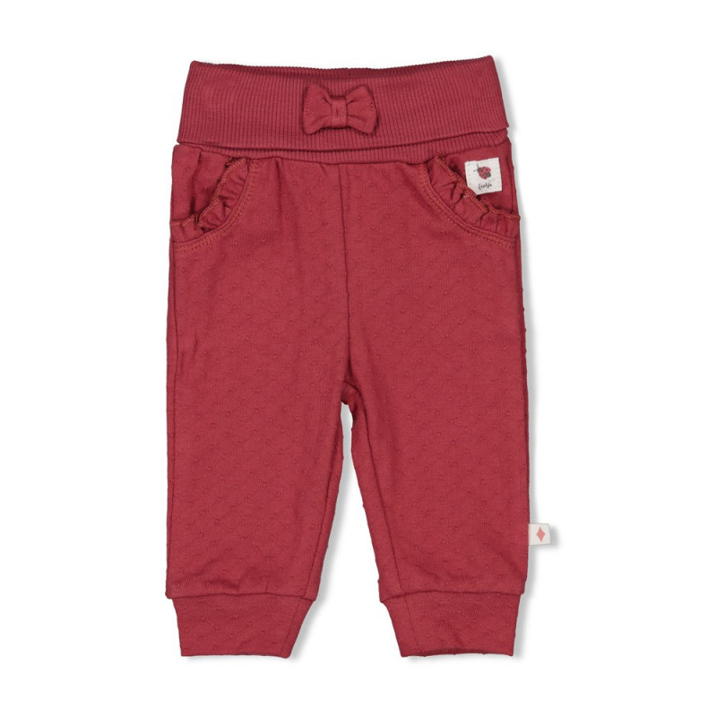 Feetje Broek - Ladybug Berry