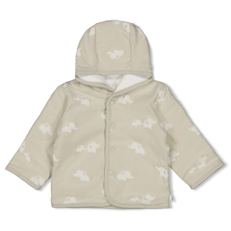 Feetje Omkeerbaar jasje met capuchon AO - Elephant Mint