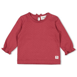 Feetje Longsleeve - Ladybug Berry
