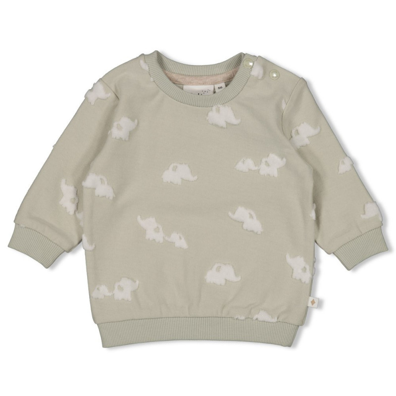 Feetje Sweater AO - Elephant Mint