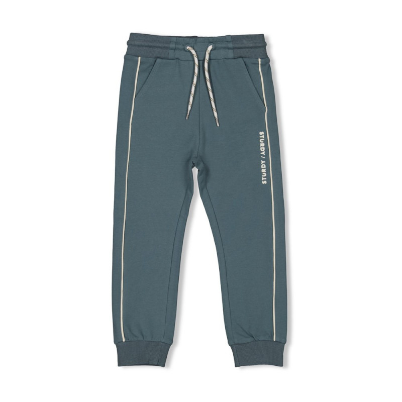 Sturdy Broek - Lagoon Legends Petrol