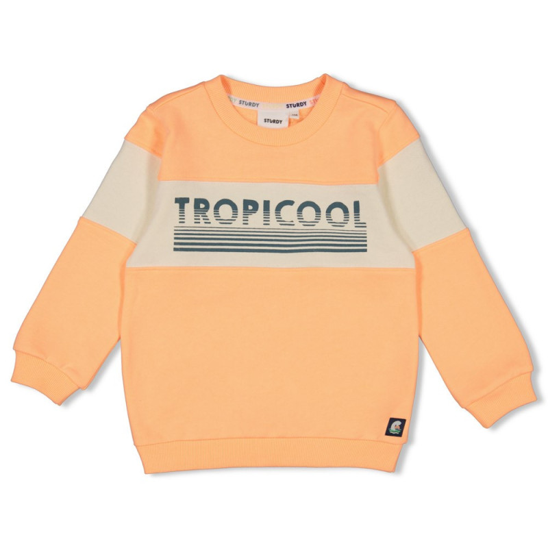 Sturdy Sweater - Lagoon Legends Neon Oranje