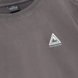 Indian Blue Jeans Loose Fit T-shirt IB Washed Grey