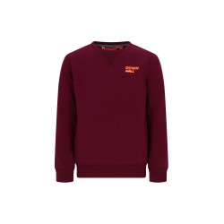 TYGO&vito Sweater Silver Rhododendron