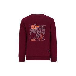 TYGO&vito Sweater Silver Rhododendron