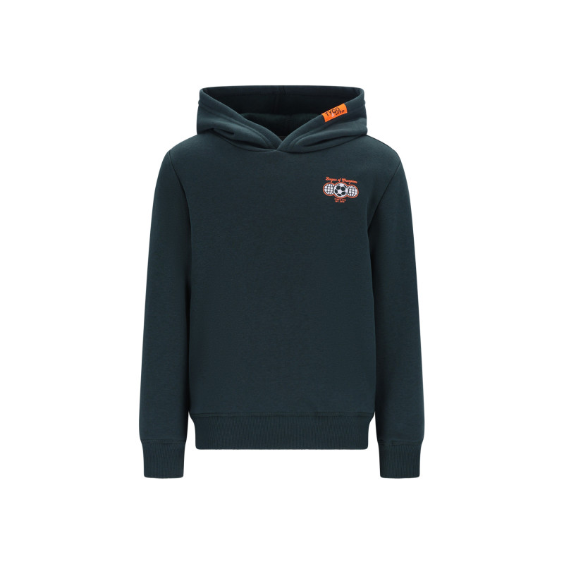 TYGO&vito Hoody Hank Storm Green