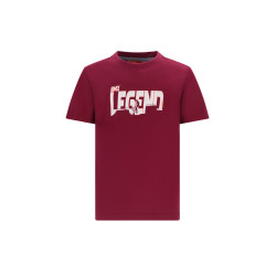 Tygo&vito shirt brique