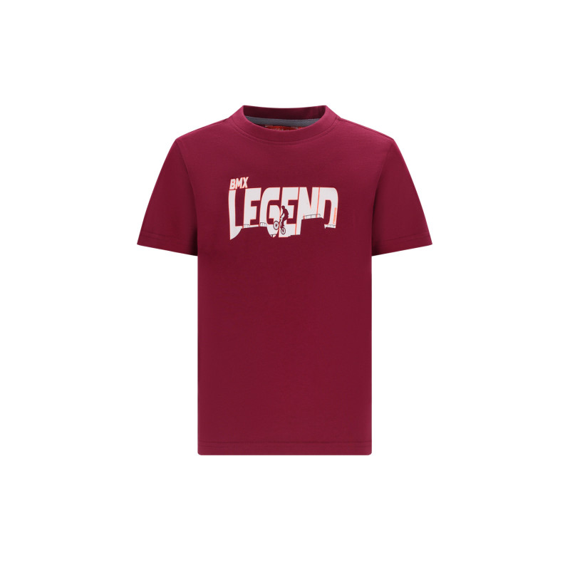 Tygo&vito shirt brique