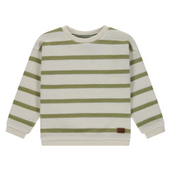 Stains and Stories boys sweatshirt Grass