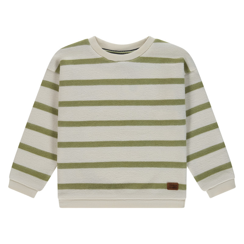 Stains and Stories boys sweatshirt Grass