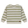 Stains and Stories boys sweatshirt Grass