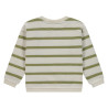 Stains and Stories boys sweatshirt Grass
