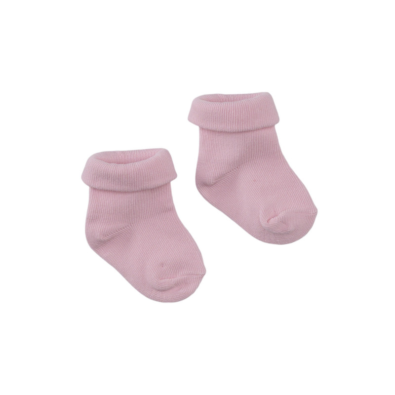 Z8 New Born Lavin Rocky rose