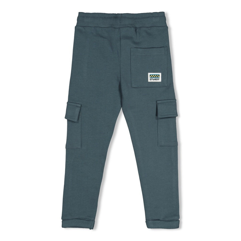 Sturdy Cargo broek - Fix It Petrol