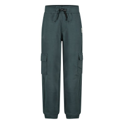 Sturdy Cargo broek - Fix It Petrol