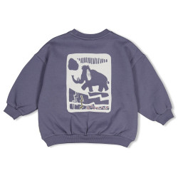 Sturdy Sweater met backprint oversized - Rock the Earth Blauw