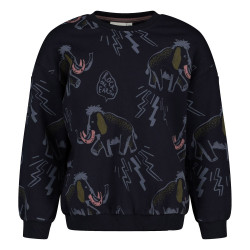 Sturdy Sweater AOP relaxed fit - Rock the Earth d.Blauw