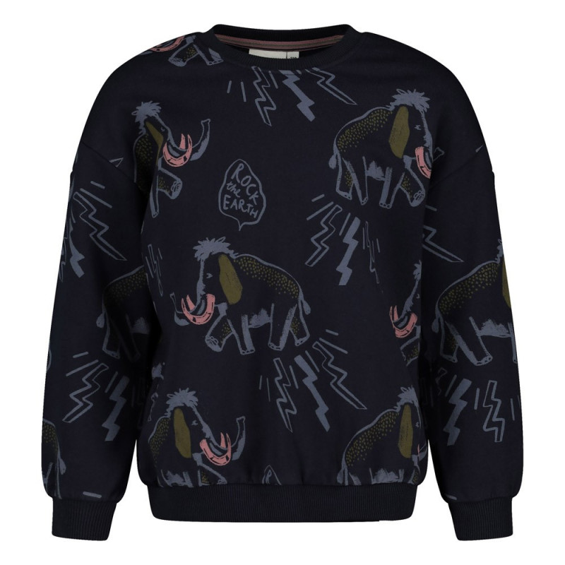 Sturdy Sweater AOP relaxed fit - Rock the Earth d.Blauw